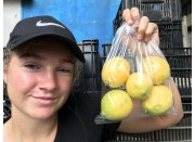 NEW SEASONS YEN BEN LEMONS  BAG OF 500 GRAMS GISBORNE Grown 